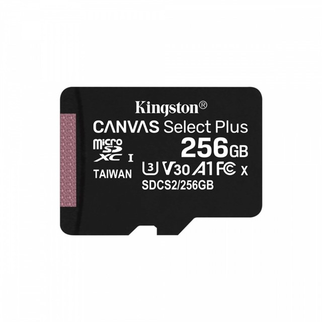 Karta pamięci microSD 256GB Canvas Select Plus 100/85MB/s Adapter 